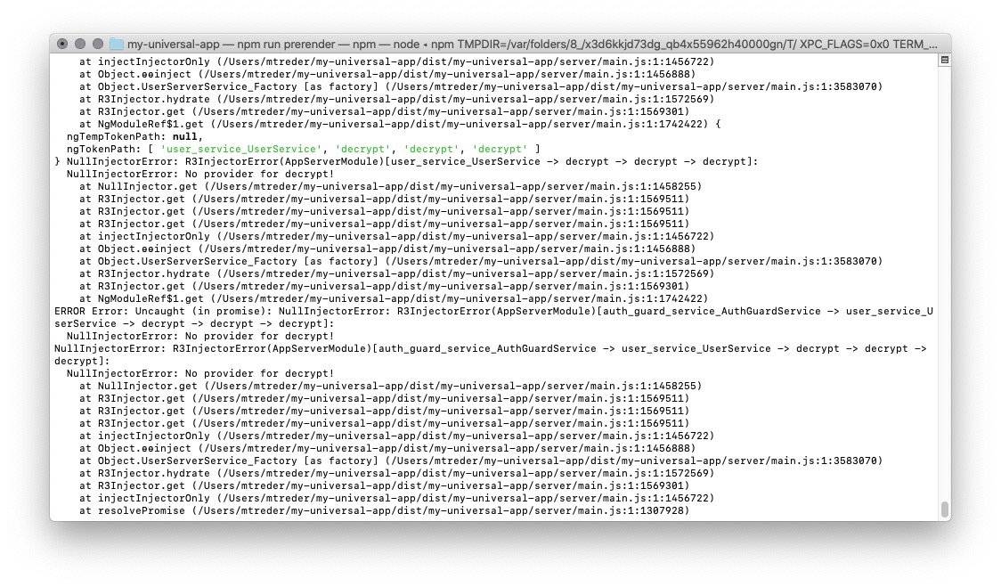 How to Resolve Angular Prerendering Issues - Angular Universal - 8.2
