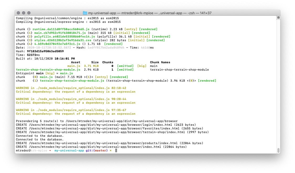 How to Resolve Angular Prerendering Issues - Angular Universal - 8.2