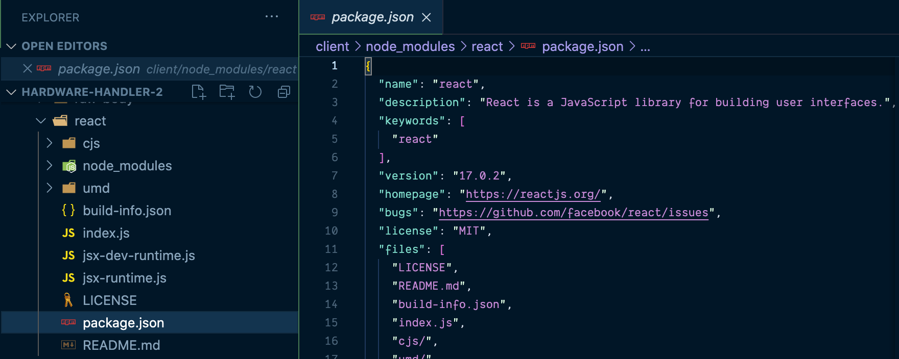 screenshot of updated react version in the package.json dependencies