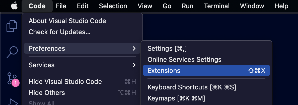 VS Code extensions